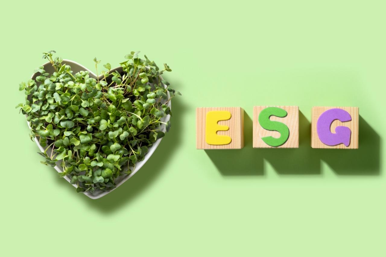 O que é ESG e como aplicá-lo na empresa?
