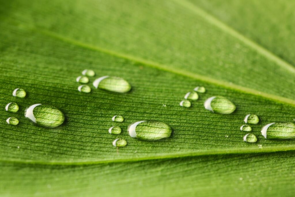 Tudo sobre pegada hídrica e como reduzir o desperdício