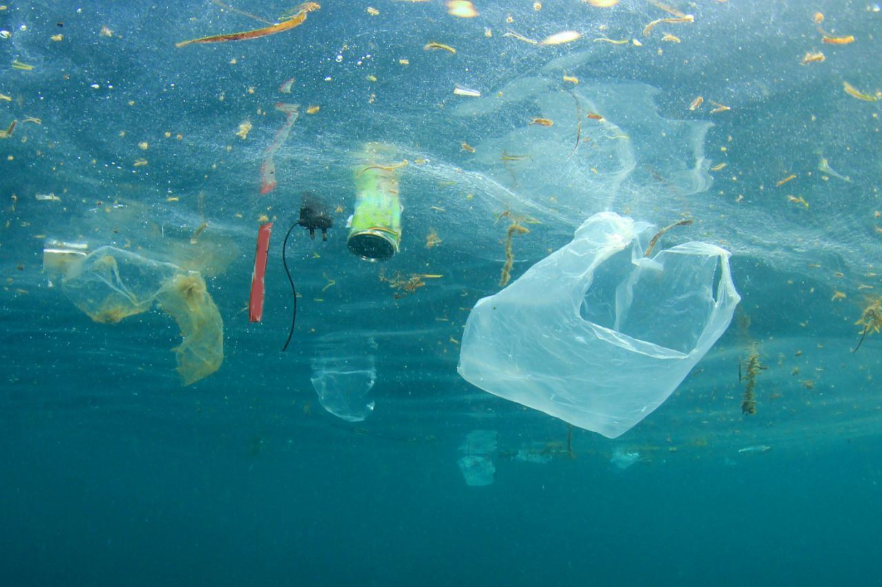 SeaClear2.0: os robôs que protegem o fundo do mar contra a poluição